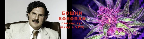 первитин Козловка