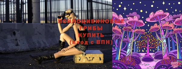 первитин Козловка