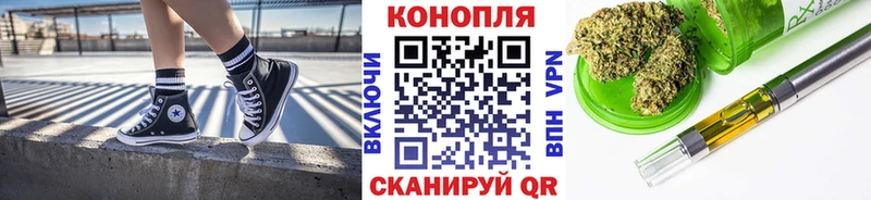Бошки Шишки план  Кирсанов 